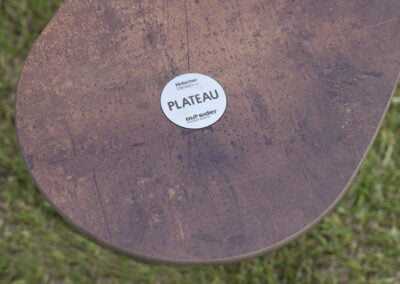 Plateau picnic I #177